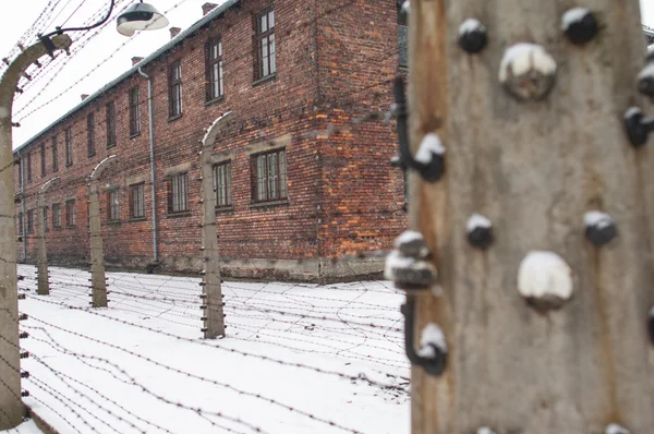 Státní muzeum Auschwitz-Birkenau — Stock fotografie