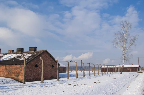 Státní muzeum Auschwitz-Birkenau — Stock fotografie