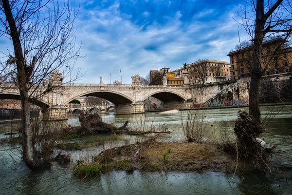 Piccoli isolotti e piante nel fiume Tevere a Roma — Foto Stock