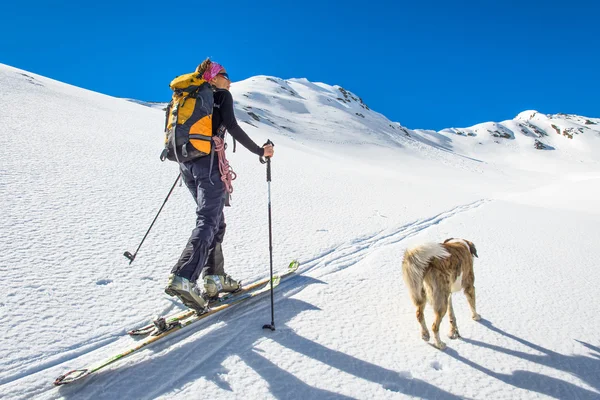 Dívka je Skialpinismus se psem. — Stock fotografie