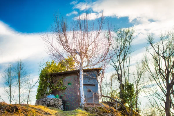 Getarnte Jagdhütte auf der Wiese zwischen Pflanzen — Stockfoto