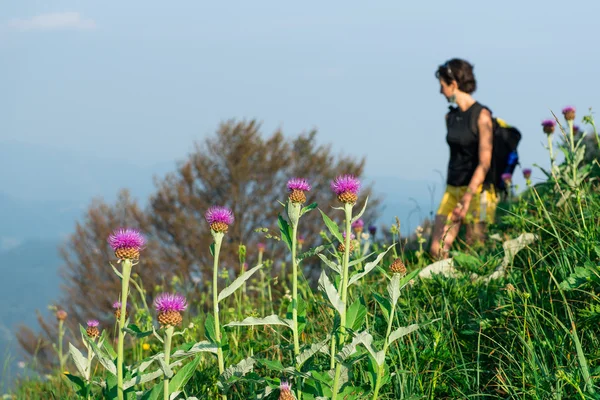 Flores de montaña con chica paseando — Foto de Stock