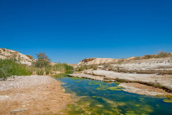 在以色列内盖夫沙漠中的水 — 图库照片