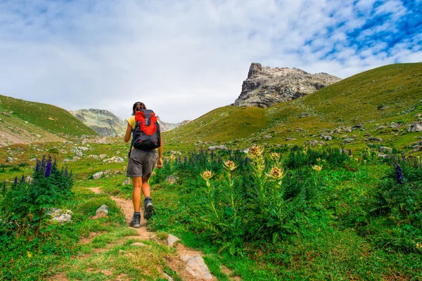 Kvinna vandrare på en skogsstig — Stockfoto