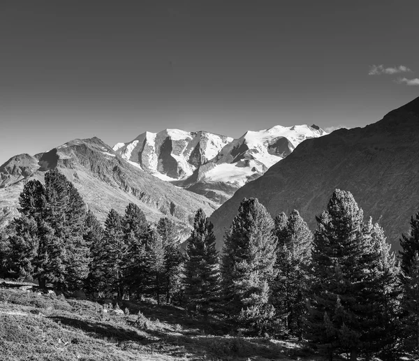 Berglandschaft in Schwarz-Weiß, — Stockfoto