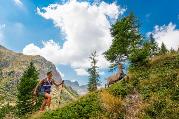 Kız uzun yürüyüşe çıkan kimse dağlarda dağ keçisi karşılar — Stok fotoğraf