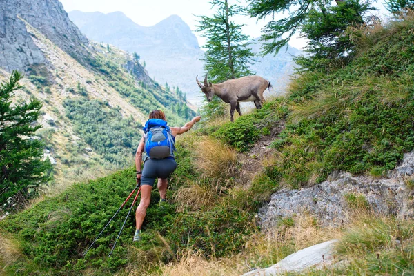 Woman and ibex — Stock Photo, Image