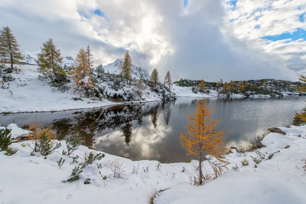 Petite rivière de montagne — Photo