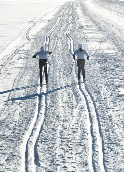 对越野滑雪者的 — 图库照片