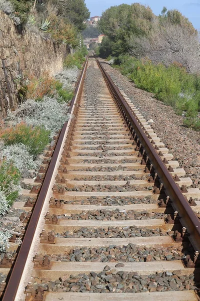 Kullanılmayan bir demiryolunun rayları