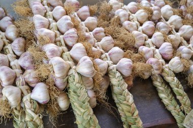 Vessalico 'dan sarımsak başları (IM)