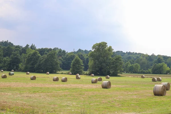 Bales Hay Meadow — Stock Photo, Image