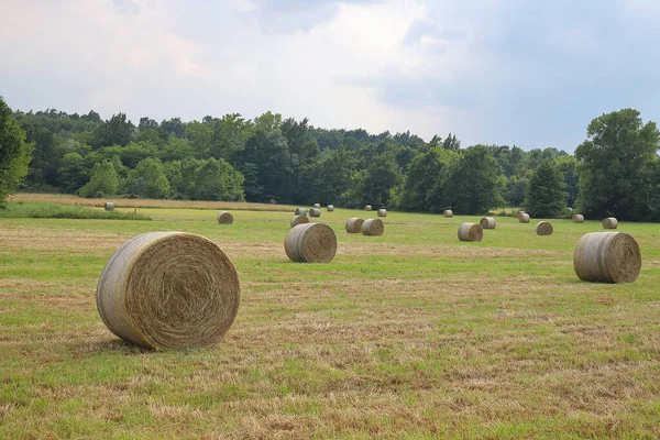 Runda Höbalar Ängen Stockfoto