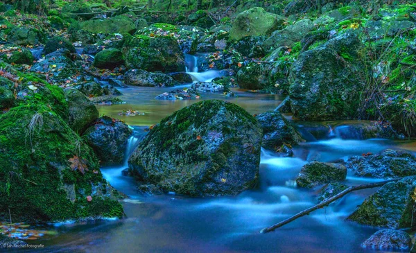 Heller Dschungel mit schnellem Fluss — Stockfoto