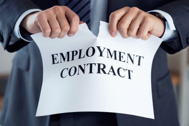 Close up of businessman hands breaking employment contract clipart