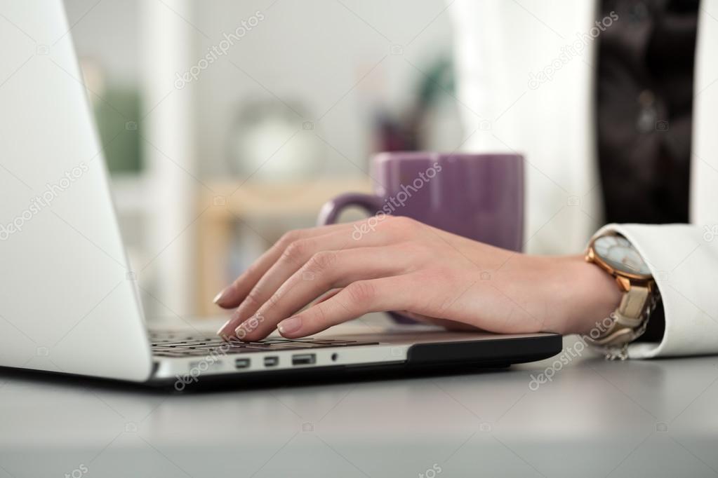 Close up view of businesswoman or student hands working on lapto