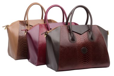 Natural leather female purses clipart