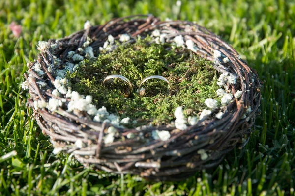 Paire d'anneaux de mariage posés dans le nid — Photo
