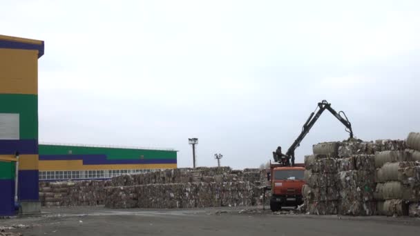 Een valk. Rusland-oktober 2020: Sorteren van karton voor verdere verwerking. Recycling-installatie. — Stockvideo