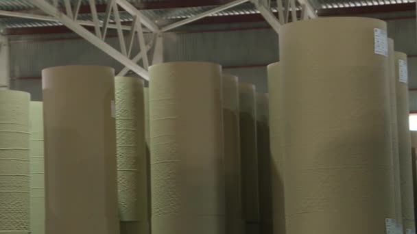 Warehouse of a cardboard and paper factory. Recycling of paper waste. — Stock Video