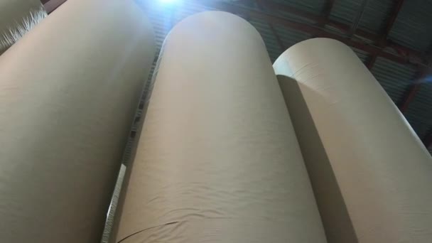 Armazém de uma fábrica de papelão e papel. Reciclagem de resíduos de papel. — Vídeo de Stock