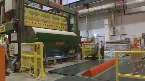 Falcão. Rússia-outubro de 2020: papelão e papelaria. Processamento de materiais de papel. — Vídeo de Stock
