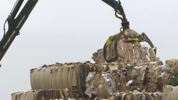 Falken. Ryssland-oktober 2020: Sortering av kartong för vidare bearbetning. Återvinningsanläggning. — Stockvideo