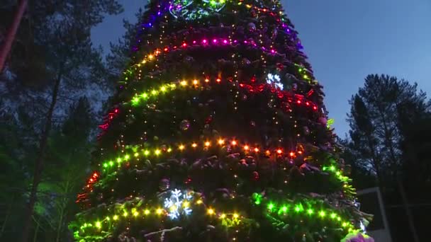 Fuegos artificiales de año nuevo en el árbol de Navidad en el Patrimonio de Santa Claus. — Vídeos de Stock