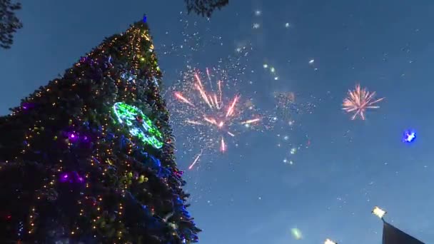 Новогодний фейерверк на рождественской елке в наследии Санта-Клауса. — стоковое видео