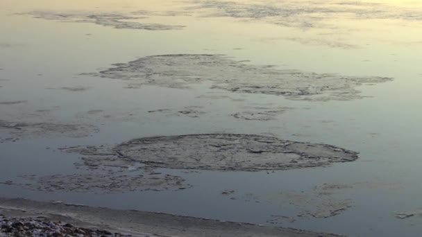 Glace sur la rivière. Rivage recouvert de glace de la rivière à la fin de l'automne. — Video