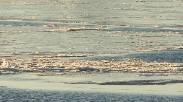 Glace sur la rivière. Rivage recouvert de glace de la rivière à la fin de l'automne. — Video