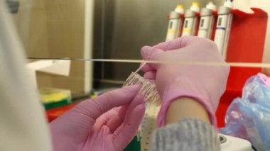 Laboratuvardaki bir doktor üreme sistemini analiz eder..