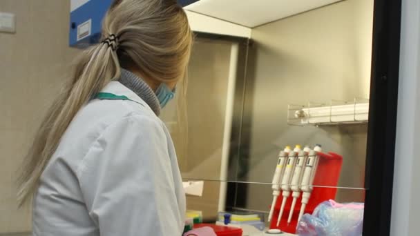 Un médico en el laboratorio analiza el sistema reproductivo. — Vídeos de Stock