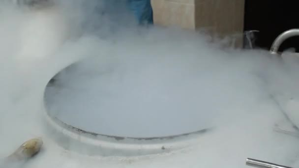Рідкий азот в лабораторії зі зразками сперми з бика, коня, тварини . — стокове відео