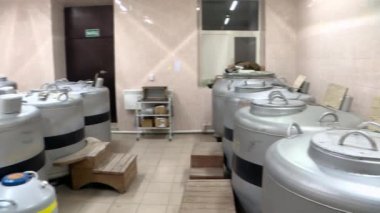 İnekleri döllemek için pipet içeren sıvı nitrojen kutusu..