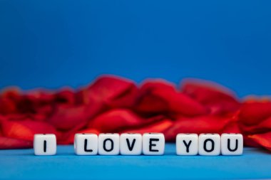 Seni gül yapraklarının arka planında seviyorum. Sevgililer Günü. Aşk ve güzellik kavramı