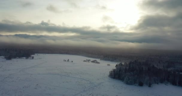 Forêt d'hiver.La vue depuis la hauteur du vol des oiseaux. — Video