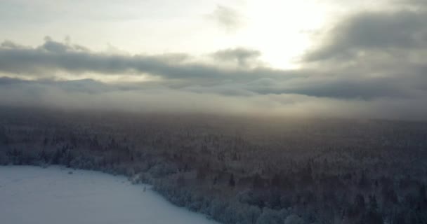 Зимовий ліс. Вид з висоти польоту птахів . — стокове відео