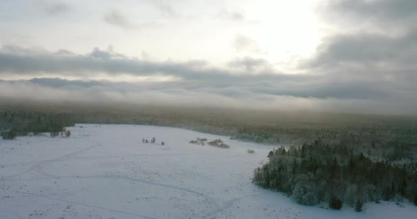 Зимний лес. Вид с высоты птичьего полета. — стоковое видео