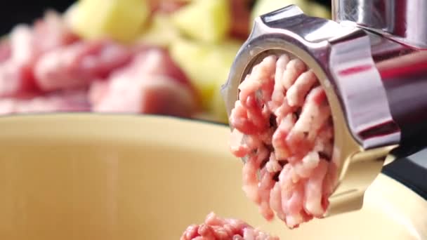 Cucinare carne macinata in un tritacarne elettrico da carne fresca a casa. — Video Stock