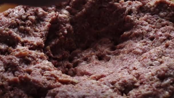 Pregătirea cărnii tocate din carne proaspătă acasă. Metoda de preparare a puiului . — Videoclip de stoc