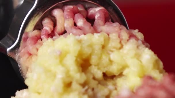 Matlagning av malet kött i en elektrisk köttkvarn från färskt kött i hemmet. — Stockvideo