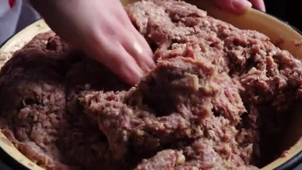 Friss húsból készült darált hús elkészítése otthon. A csirke elkészítésének módja. — Stock videók