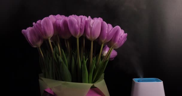 Humidificador de aire con flores de primavera sobre fondo negro — Vídeo de stock