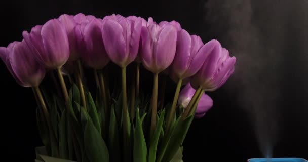 黒の背景に春の花と空気加湿器 — ストック動画