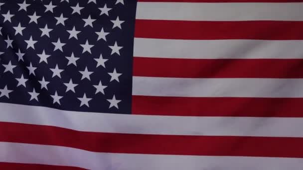 Falling dollars on the background of the American flag .In slow motion. Money rain. — Stock Video