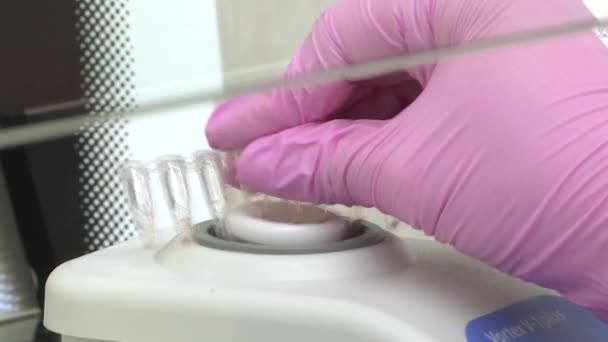 Laboratoř DNA. Výzkumník pracuje na přípravě tamponů pro posouzení genetických chorob — Stock video