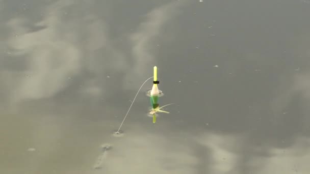 Fishing gear on the water. The fish is biting. — Stock Video