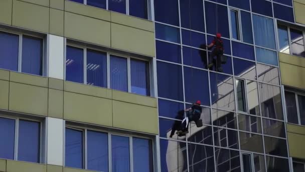 Limpadores de janelas. Trabalhadores qualificados de arranha-céus lavam as janelas de vidro de um edifício de escritórios — Vídeo de Stock