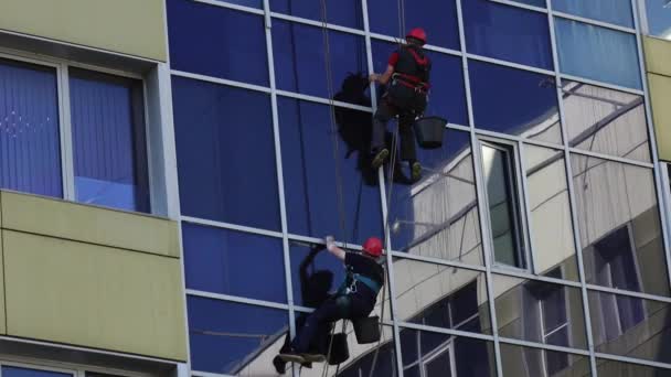 Уборщики окон. Квалифицированные работники высоток моют стеклянные окна офисного здания — стоковое видео